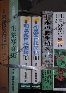 日本の野生植物ほか